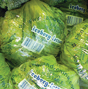 優(yōu)野結(jié)球生菜