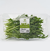 優(yōu)野芝麻菜